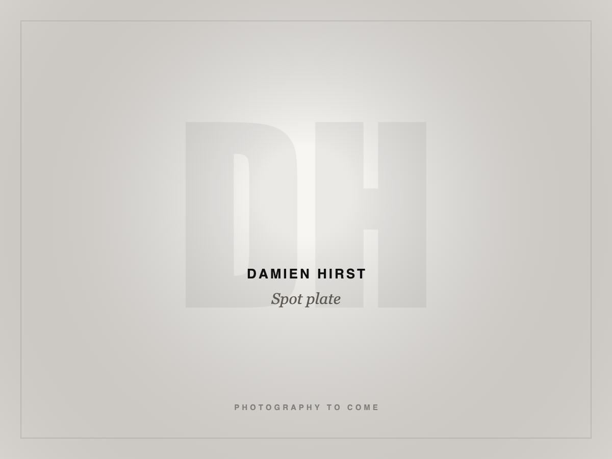 Damien Hirst, Spot plate